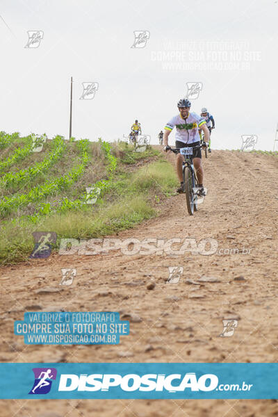 Pedala Paraná - Rota do Caramuru 2024