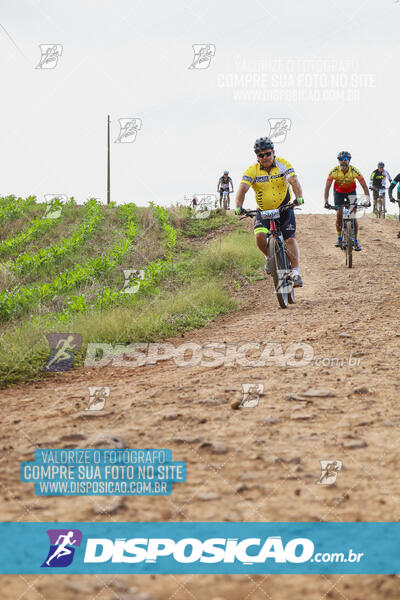 Pedala Paraná - Rota do Caramuru 2024