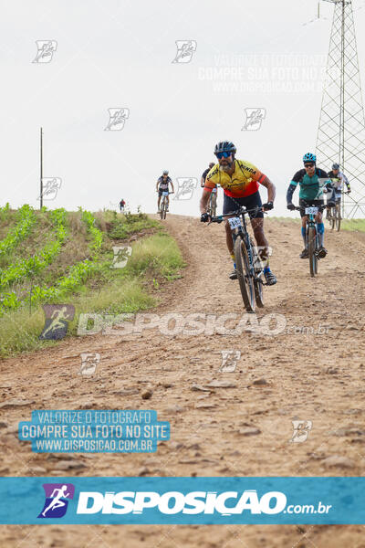 Pedala Paraná - Rota do Caramuru 2024