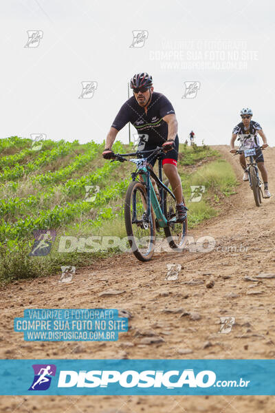 Pedala Paraná - Rota do Caramuru 2024