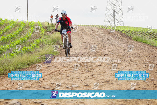 Pedala Paraná - Rota do Caramuru 2024