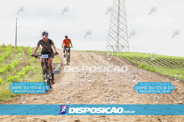 Pedala Paraná - Rota do Caramuru 2024