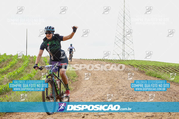 Pedala Paraná - Rota do Caramuru 2024