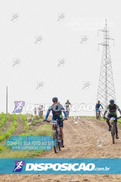 Pedala Paraná - Rota do Caramuru 2024