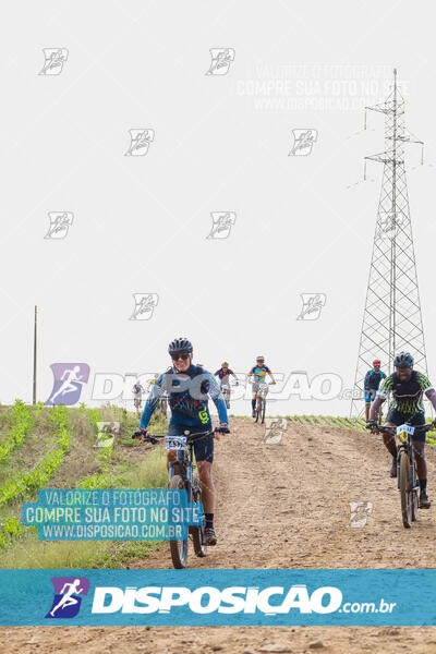 Pedala Paraná - Rota do Caramuru 2024