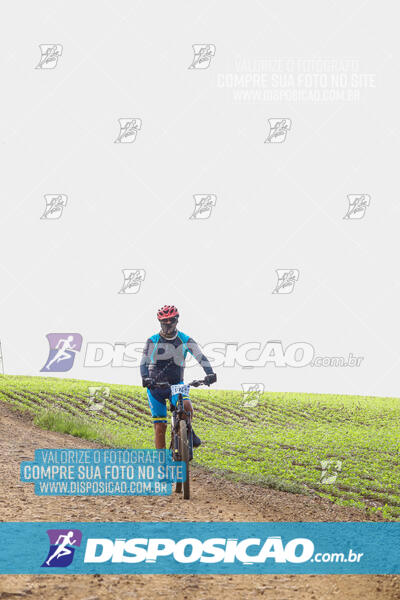 Pedala Paraná - Rota do Caramuru 2024