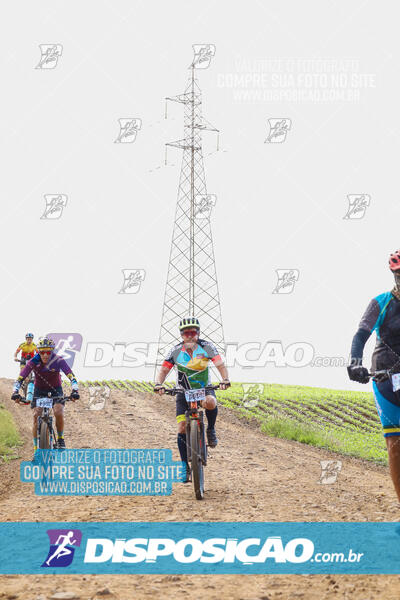 Pedala Paraná - Rota do Caramuru 2024