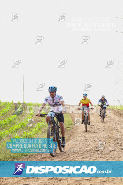 Pedala Paraná - Rota do Caramuru 2024