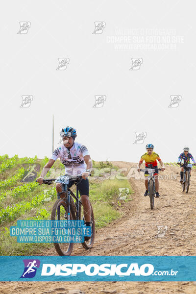 Pedala Paraná - Rota do Caramuru 2024