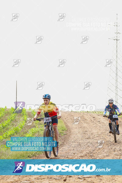 Pedala Paraná - Rota do Caramuru 2024