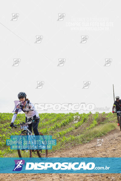 Pedala Paraná - Rota do Caramuru 2024