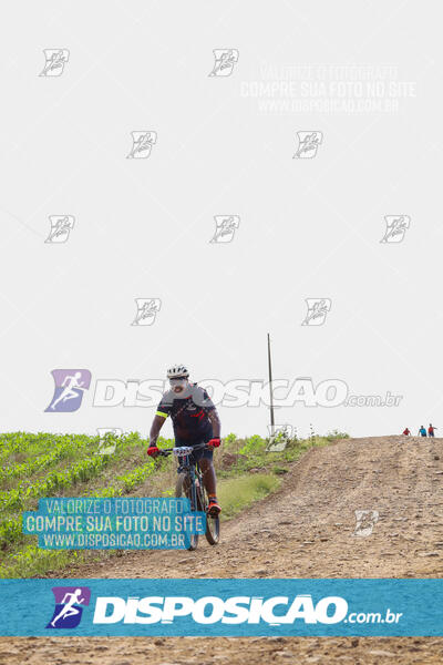 Pedala Paraná - Rota do Caramuru 2024