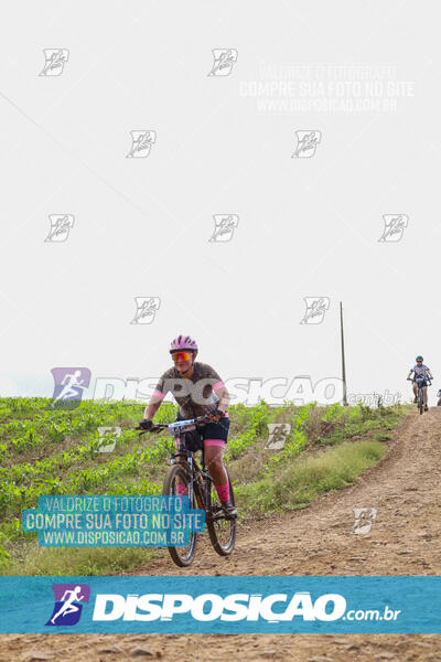 Pedala Paraná - Rota do Caramuru 2024