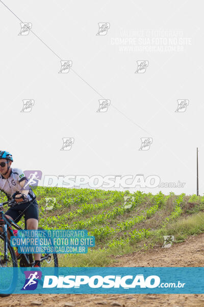 Pedala Paraná - Rota do Caramuru 2024