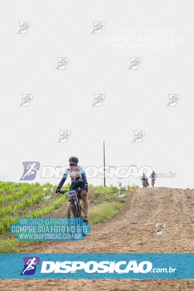 Pedala Paraná - Rota do Caramuru 2024