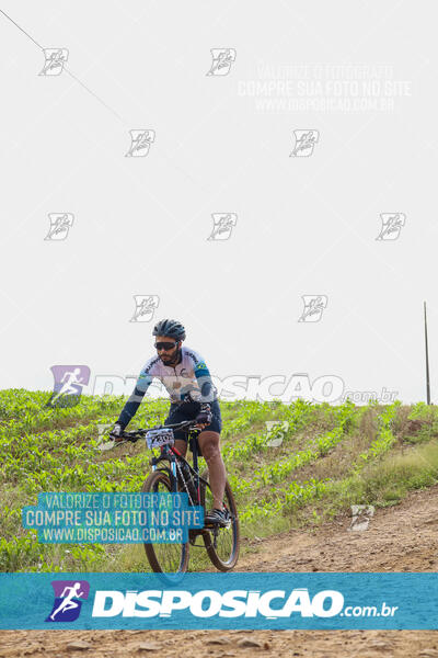 Pedala Paraná - Rota do Caramuru 2024