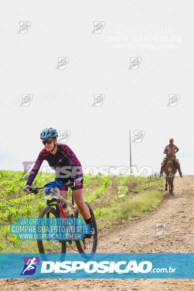 Pedala Paraná - Rota do Caramuru 2024