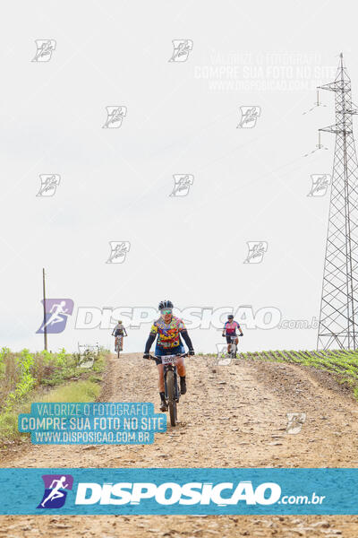 Pedala Paraná - Rota do Caramuru 2024