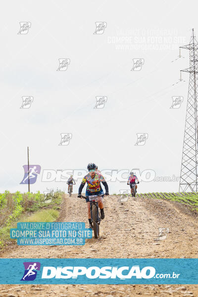 Pedala Paraná - Rota do Caramuru 2024