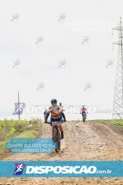 Pedala Paraná - Rota do Caramuru 2024