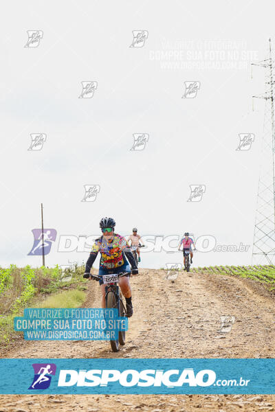 Pedala Paraná - Rota do Caramuru 2024