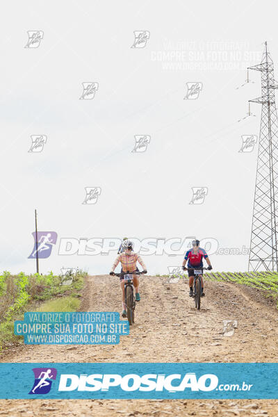 Pedala Paraná - Rota do Caramuru 2024