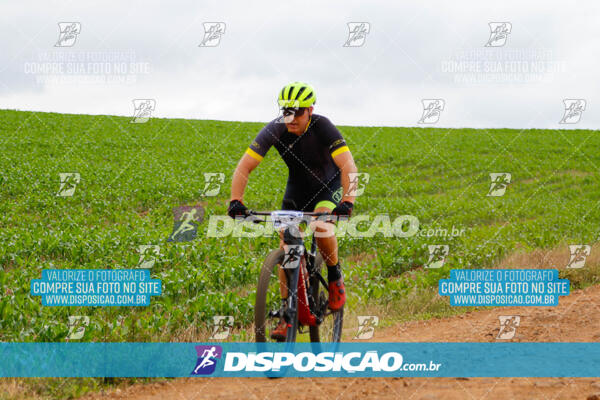 Pedala Paraná - Rota do Caramuru 2024