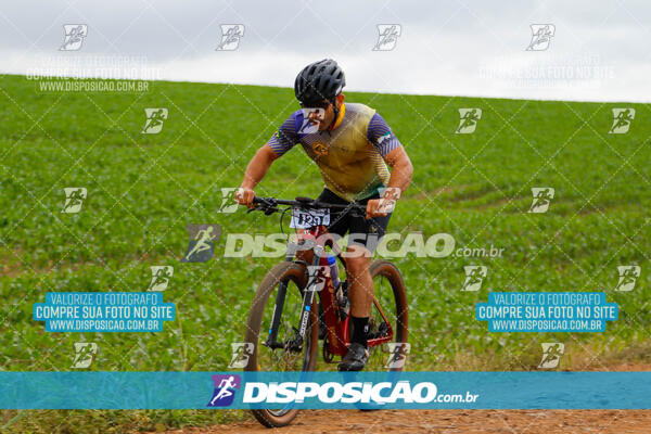 Pedala Paraná - Rota do Caramuru 2024