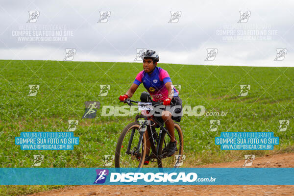 Pedala Paraná - Rota do Caramuru 2024