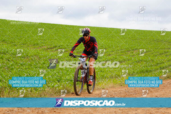 Pedala Paraná - Rota do Caramuru 2024