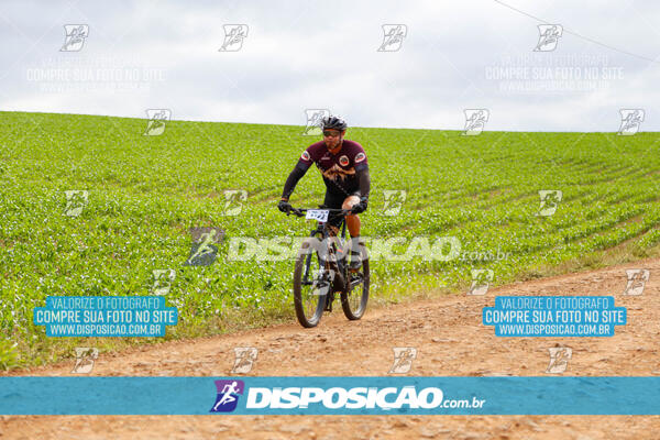 Pedala Paraná - Rota do Caramuru 2024