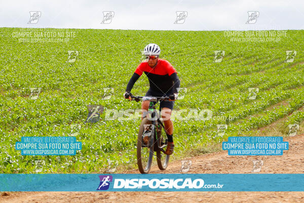 Pedala Paraná - Rota do Caramuru 2024