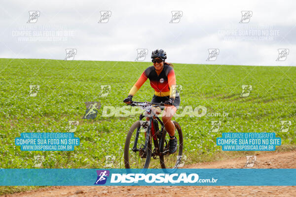 Pedala Paraná - Rota do Caramuru 2024