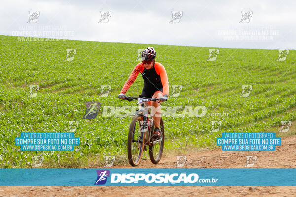 Pedala Paraná - Rota do Caramuru 2024