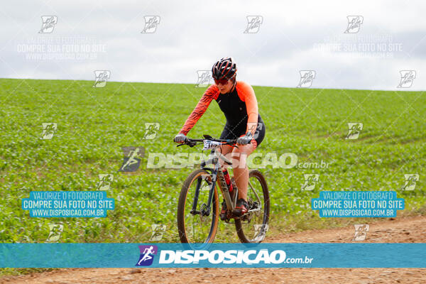 Pedala Paraná - Rota do Caramuru 2024