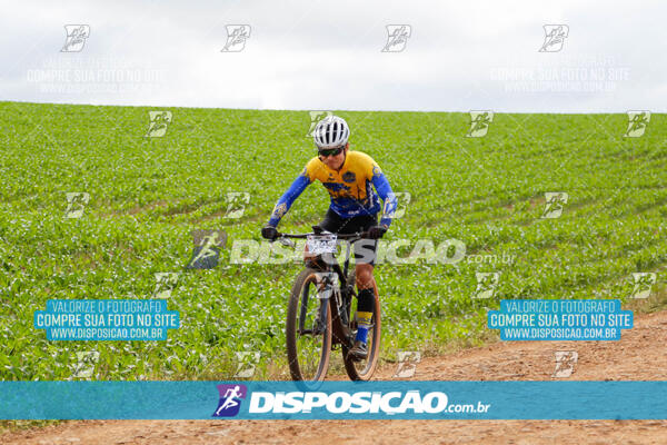 Pedala Paraná - Rota do Caramuru 2024