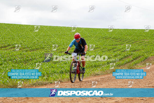 Pedala Paraná - Rota do Caramuru 2024