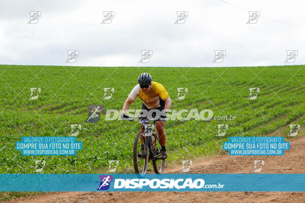 Pedala Paraná - Rota do Caramuru 2024