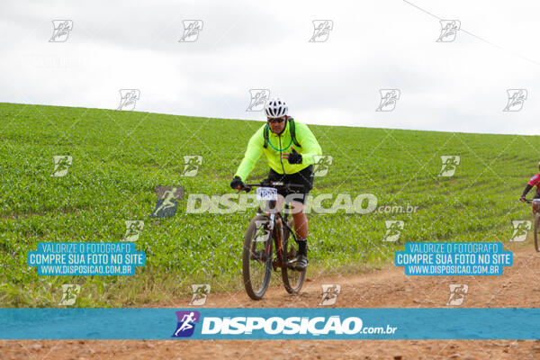 Pedala Paraná - Rota do Caramuru 2024