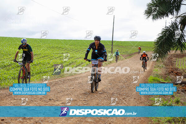 Pedala Paraná - Rota do Caramuru 2024