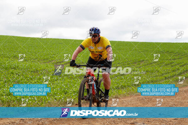 Pedala Paraná - Rota do Caramuru 2024