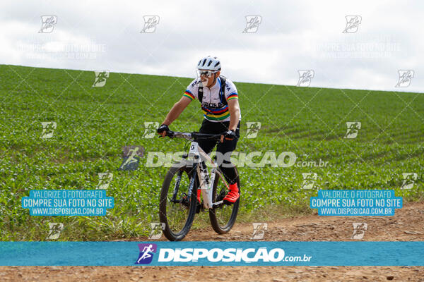 Pedala Paraná - Rota do Caramuru 2024