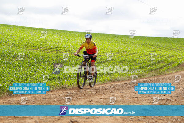 Pedala Paraná - Rota do Caramuru 2024