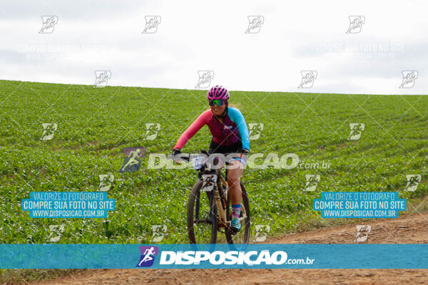 Pedala Paraná - Rota do Caramuru 2024