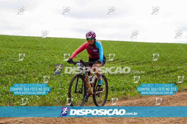 Pedala Paraná - Rota do Caramuru 2024