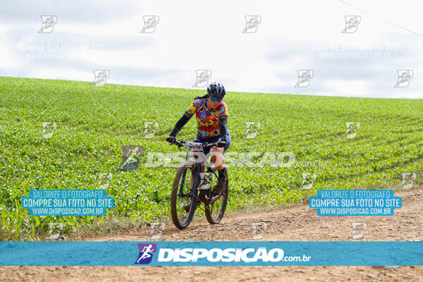 Pedala Paraná - Rota do Caramuru 2024