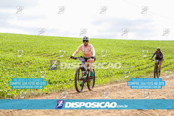 Pedala Paraná - Rota do Caramuru 2024