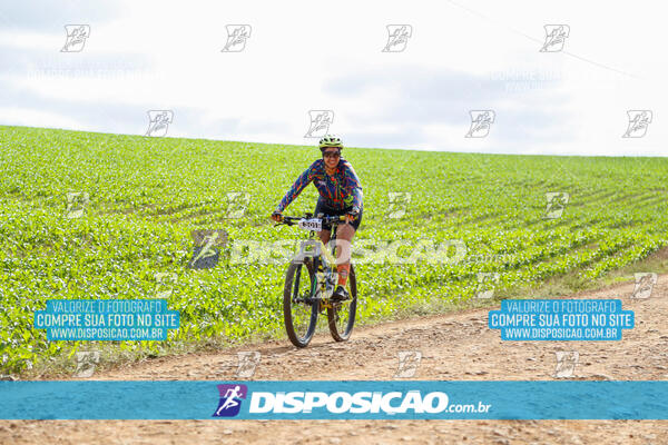 Pedala Paraná - Rota do Caramuru 2024