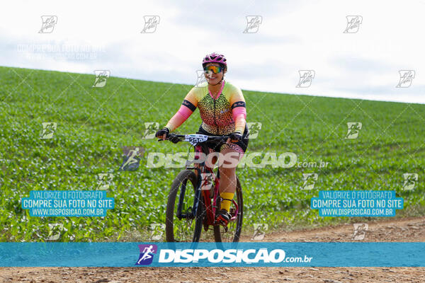 Pedala Paraná - Rota do Caramuru 2024