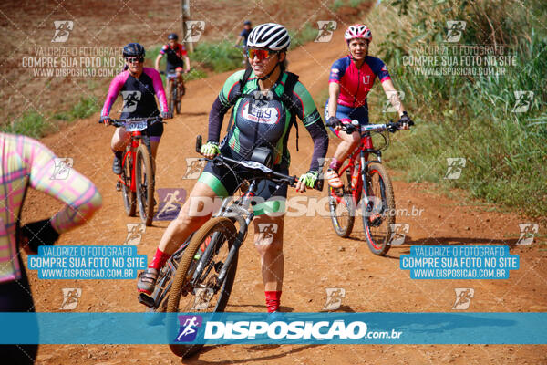 Pedala Paraná - Rota do Caramuru 2024